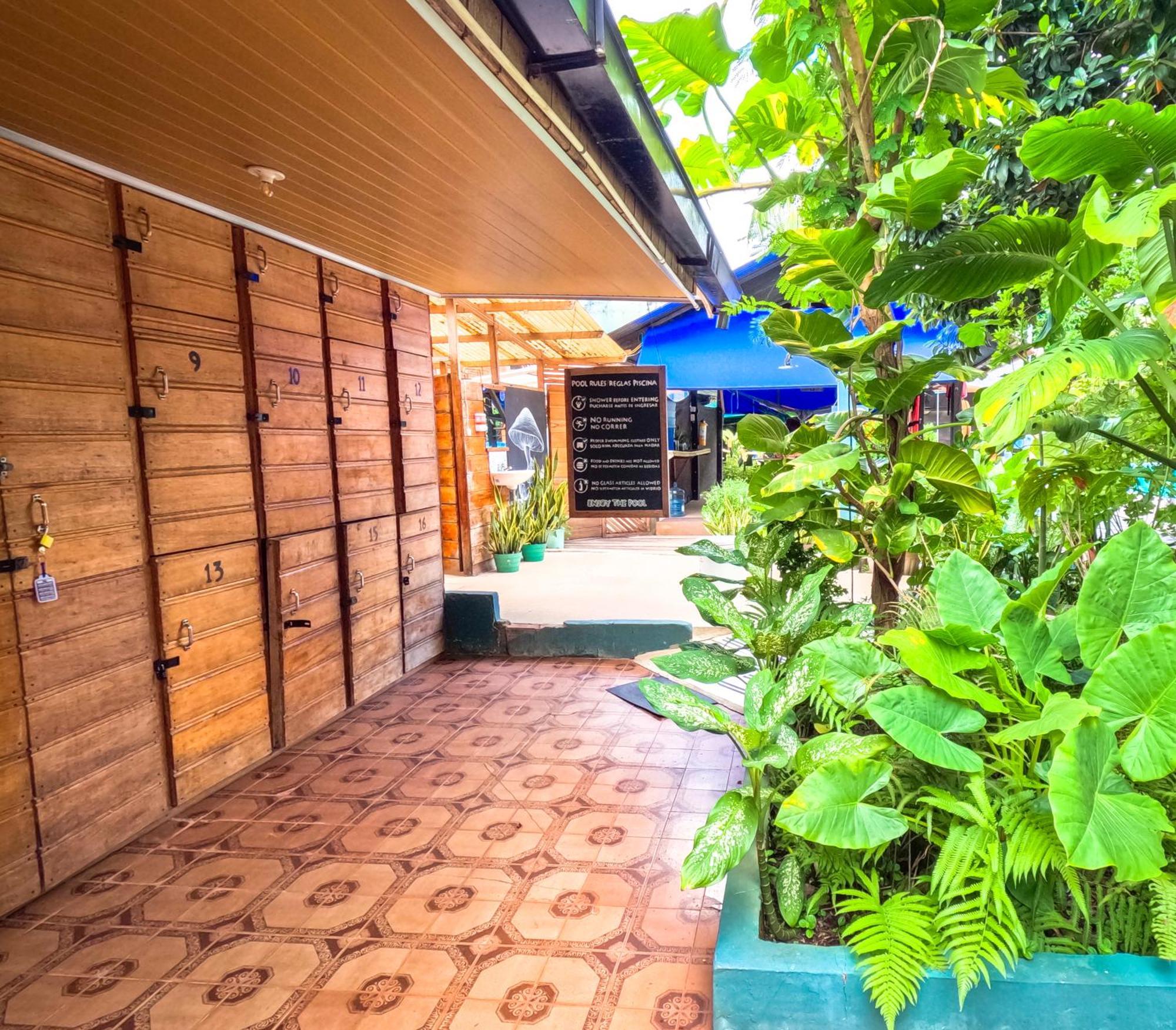 Hostel Casa De Las Palmas Tours Leticia Buitenkant foto